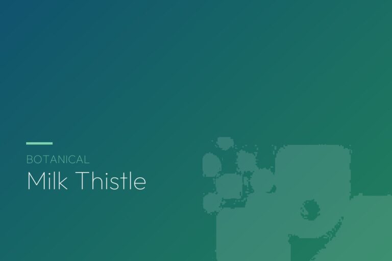 Milk Thistle botanical guide