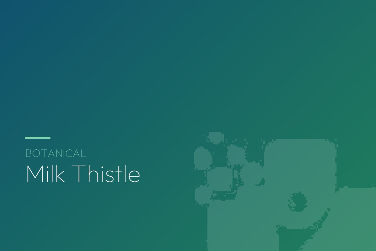 Milk Thistle botanical guide