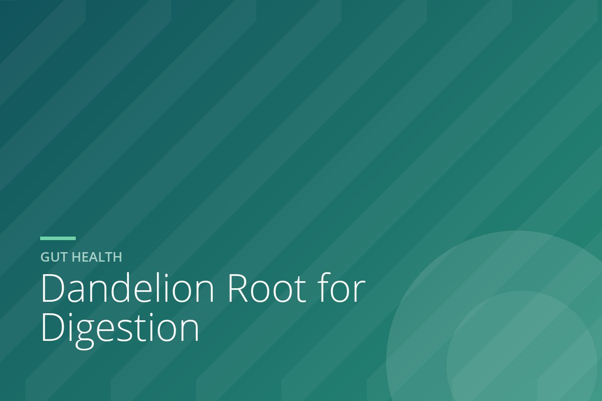 Dandelion Root for Digestion: Bitter Tradition vs Real Evidence