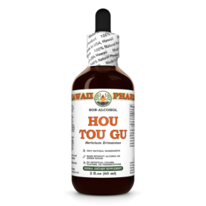 Hawaii Pharm Lion's Mane Alcohol-Free Liquid Extract