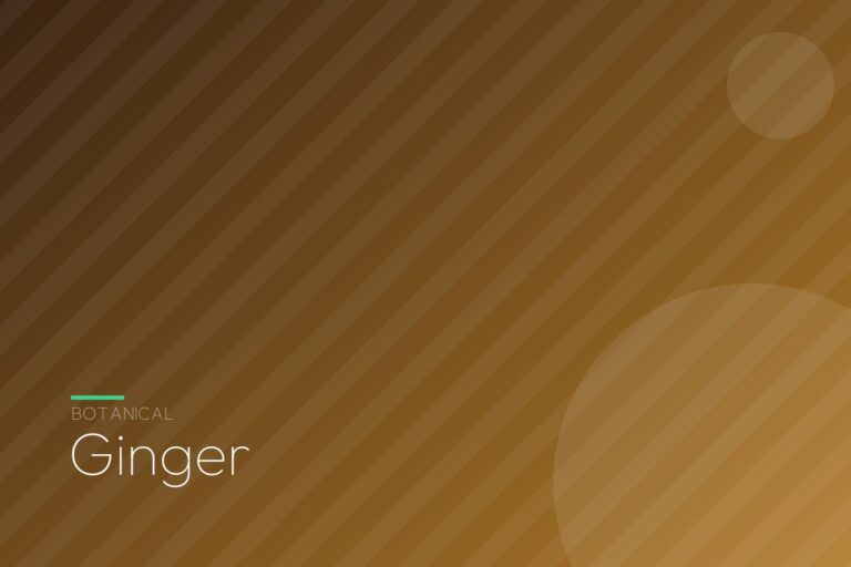 Ginger