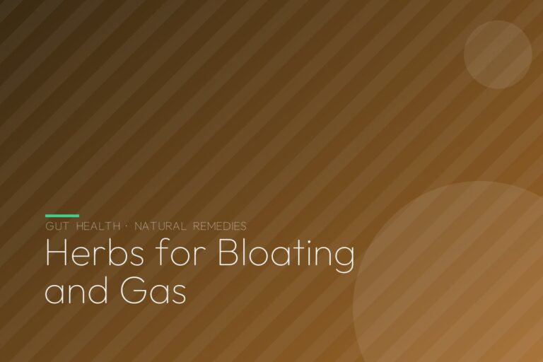 Herbs for Bloating and Gas